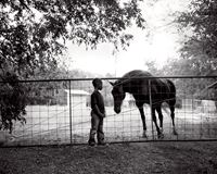 Jerry and horse by Isabelle Armand contemporary artwork photography