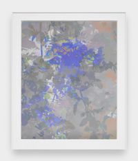 009 by James Welling contemporary artwork print