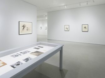Exhibition view: Jay Defeo, Transcending Definition Jay DeFeo in the 1970s, Gagosian, San Francisco (10 September–11 December 2020). © 2020 The Jay DeFeo Foundation / Artists Rights Society (ARS), New York. Courtesy Gagosian. Photo: Robert Divers Herrick.