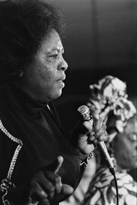 Fannie Lou Hamer by Chester Higgins contemporary artwork photography