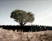 Tooba Series by Shirin Neshat contemporary artwork photography