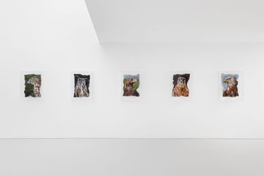 Exhibition view: Marcus Coates, Between Stories, Kate MacGarry, London (12 April–18 May 2024). Courtesy Kate MacGarry.