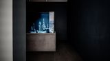 Contemporary art exhibition, Pierre Huyghe, Circadian Dilemna at Winsing Art Place, Taipei, Taiwan