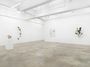 Contemporary art exhibition, Tania Pérez Córdova, Precipitation at Tina Kim Gallery, New York, USA