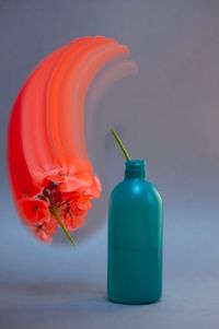 Geranium in Gee's Linctus bottle by Greta Anderson contemporary artwork photography, print