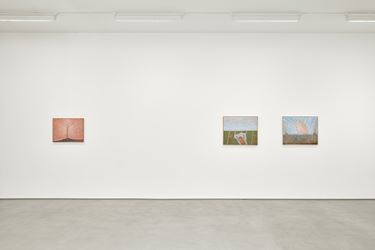 Exhibition view: Co Westerik, body and landscape, Sadie Coles HQ, Kingly Street, London (19 September–2 November 2019). Courtesy Sadie Coles HQ.