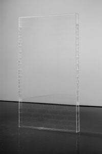 Appear Invisible by Dan Moynihan contemporary artwork sculpture