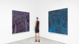 Contemporary art exhibition, Elizabeth Magill, Flag Iris at Miles McEnery Gallery, 511 West 22nd St, New York, USA