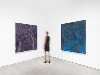 Exhibition view: Elizabeth Magill, Flag Iris, Miles McEnery Gallery, 525 West 22nd Street, New York (8 September–15 October 2022). Courtesy Miles McEnery Gallery.