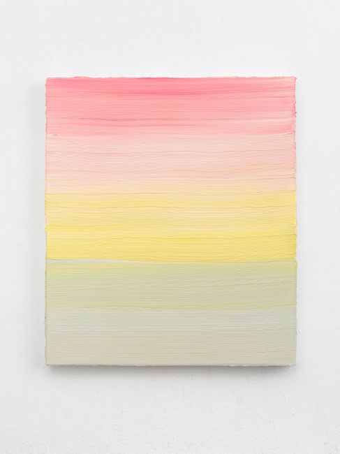 Untitled (Permanent Yellow Light/Brilliant Pink/Neutral Tint) II by Jason Martin contemporary artwork