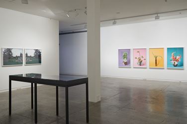 Ann Shelton, close to the wind, Two Rooms, Auckland (26 September–26 October 2019). Courtesy Two Rooms.