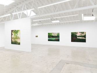 Exhibition view: Hannah Brown, Hollow Pond, Anat Ebgi, Los Angeles (8 March–20 April 2024). Courtesy Anat Ebgi, Los Angeles/New York.