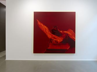 Exhibition view: Daniel Lergon, Crimson, Galerie Christian Lethert, Cologne (12 April–28 June 2019). Courtesy Galerie Christian Lethert. Photo: Simon Vogel.