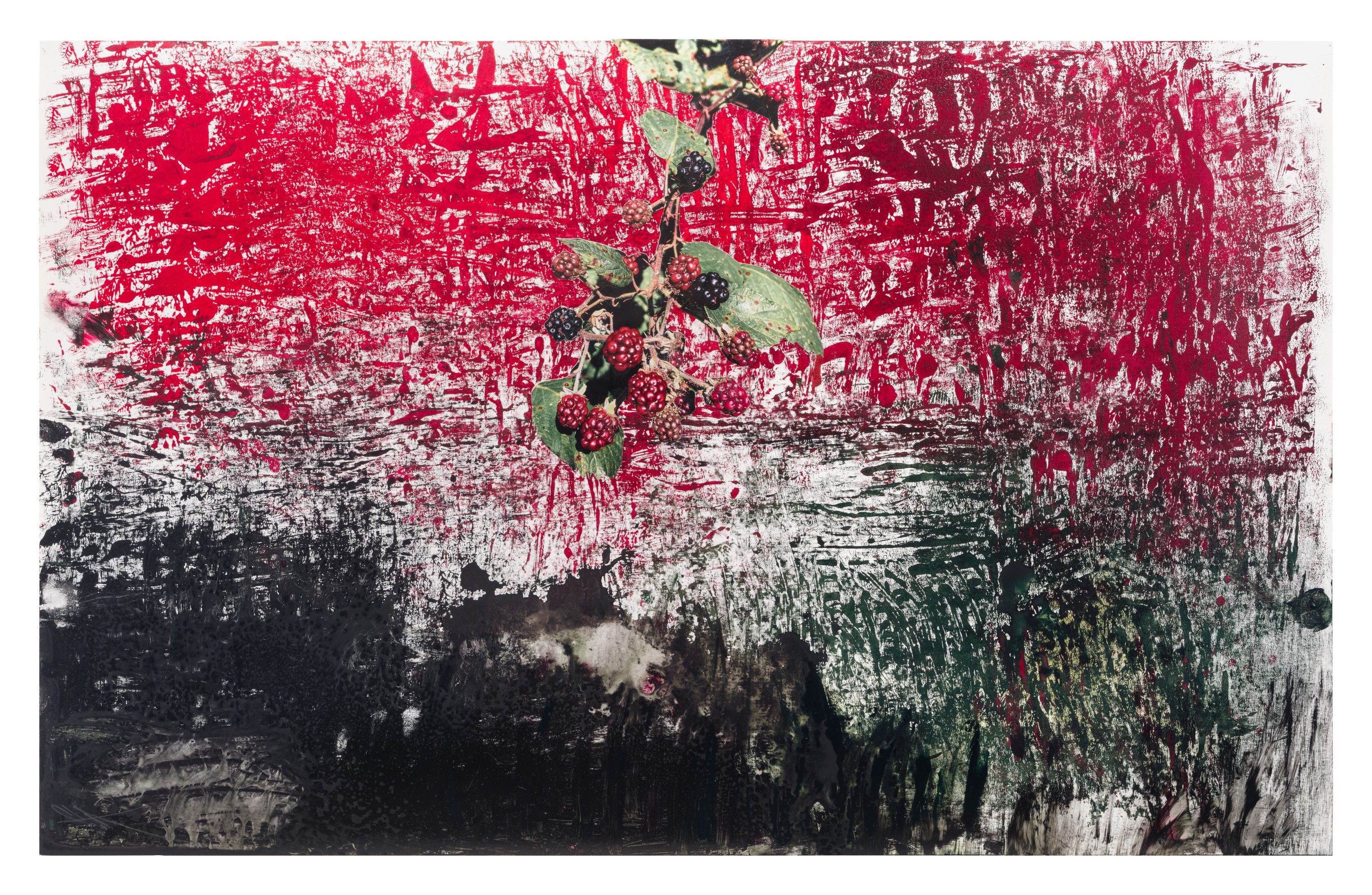絵画 Ruby-red Flowers Ruby Slippers Red Poppies Wizard Of Oz Jigsaw Puzzle by