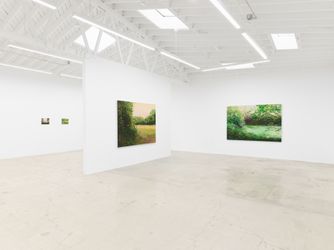 Exhibition view: Hannah Brown, Hollow Pond, Anat Ebgi, Los Angeles (8 March–20 April 2024). Courtesy Anat Ebgi, Los Angeles/New York.