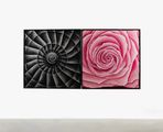 Spiral, Rose (diptych) by Rebecca Ackroyd contemporary artwork 2