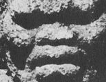 Olmec Negroid Stone Head (Tres Zapotes F). 800BC - 400 BC by Deana Lawson contemporary artwork 3