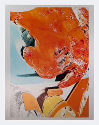 Chicken by Rachel Harrison contemporary artwork painting, works on paper, sculpture