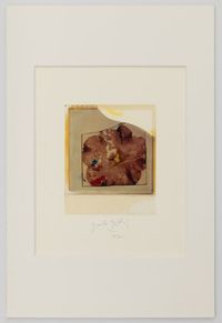 Botanical Specimen by Paolo Gioli contemporary artwork works on paper, photography