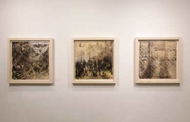 Exhibition view: Sarah Sense, Power Lines, Bruce Silverstein, New York (22 September–5 November 2022). Courtesy Bruce Silverstein.