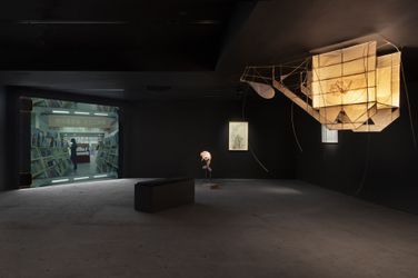 Exhibition view: Cici Wu, Belonging and Difference, Empty Gallery, Hong Kong (3 September–12 November 2023). Courtesy Empty Gallery. 