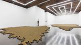 Contemporary art exhibition, Yang Xinguang, Bad Soil at Beijing Commune, China
