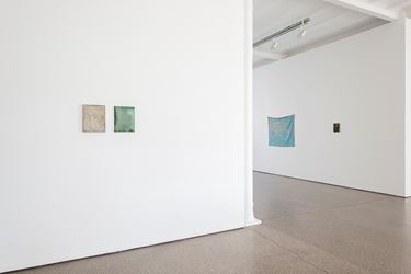 Exhibition view: Edith Dekyndt, Strange Fruits, Galerie Greta Meert, Brussels (20 April–2 July 2016). Courtesy Galerie Greta Meert.