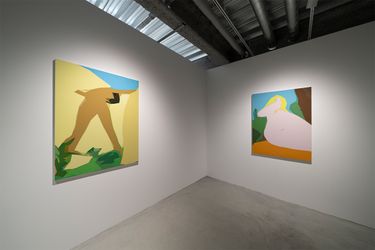 Installation view from NEW NUDE by Tomohito Ushiro.