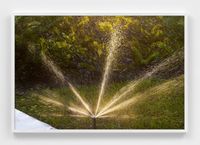 Sprinkler at Dawn in Palm Beach by Roe Ethridge contemporary artwork photography