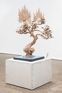 Tree of Burning Transformation by Timur Si-Qin contemporary artwork sculpture