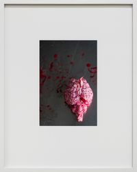 Gehirn (Encephalon), Leibniz IZW, Berlin by Thomas Struth contemporary artwork print