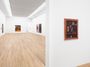 Contemporary art exhibition, Bendt Eyckermans, An Introcosm at Andrew Kreps Gallery, 22 Cortlandt Alley, USA