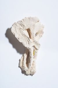 Sans titre (faïence et verre n°6) by Julia Haumont contemporary artwork sculpture, ceramics