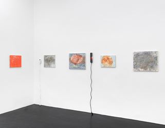 Exhibition view: Henrik Olesen, ab 22. Mai 2020, Galerie Buchholz, Cologne (22 May–15 August).  Courtesy Galerie Buchholz Berlin/Cologne/New York.  