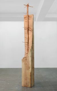 Nel legno by Giuseppe Penone contemporary artwork sculpture
