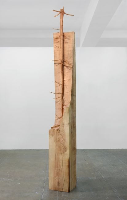 Nel legno by Giuseppe Penone contemporary artwork