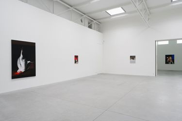 Exhibition view: Mircea Suciu, Bleeding Heart, Zeno X Gallery, Antwerp (1 September–23 October 2021). Courtesy Zeno X Gallery. Photo: Peter Cox.