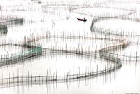 ‘Fujian #17 - Organic’, Coastal Geometries, China by Tugo Cheng contemporary artwork photography, print
