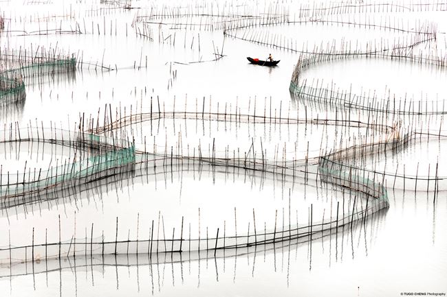 ‘Fujian #17 - Organic’, Coastal Geometries, 
China by Tugo Cheng contemporary artwork