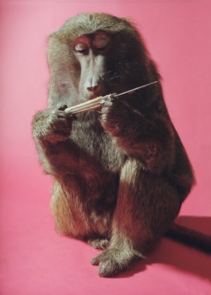 Chimp by Heji Shin contemporary artwork photography