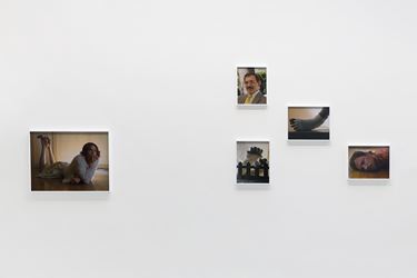 Exhibition view: Torbjørn Rødland, Backlit Rainbow, David Kordansky Gallery, Los Angeles (2 June–7 July 2018). Courtesy David Kordansky Gallery, Los Angeles. Photo: Jeff McLane.