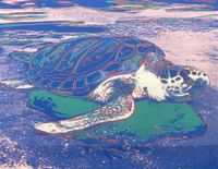 Turtle (FS II.360A) by Andy Warhol contemporary artwork print