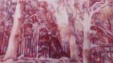 Contemporary art exhibition, Fiona Lowry, Pink Frost at Martin Browne Contemporary, Sydney, Australia