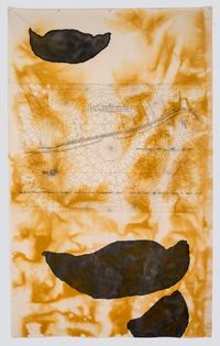 dutch map, pituri vessels by Judy Watson contemporary artwork painting