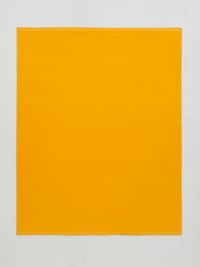 4 x 5 Perimeter of Little Fat Flesh - Yellow by Inga Svala Thórsdóttir & Wu Shanzhuan contemporary artwork works on paper