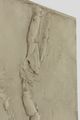 24/22 Cicatrices marfil claro vertical by Antonia Ferrer contemporary artwork 3