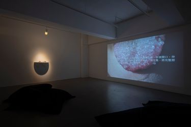 Exhibition view: Noble Rot: Part 1, Para Site, Hong Kong (3 December 2021–16 January 2022). Courtesy Para Site.