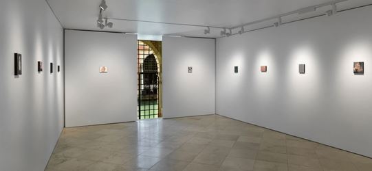 Exhibition view: Secundino Hernández, Grapado a la piel, Victoria Miro, Venice (13 September–19 October 2019). Courtesy the artist and Victoria Miro, London/Venice.