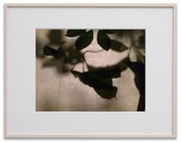 Night Leaves by Gabriel Orozco contemporary artwork photography, print