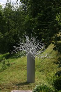 Baum by Joachim Elzmann contemporary artwork sculpture